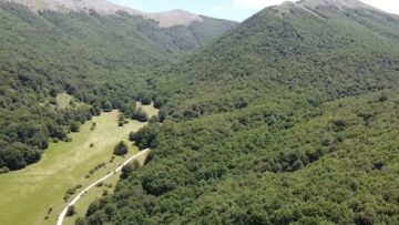 Privato: [ID: 7jtAcCxe7Mc] Youtube Automatic