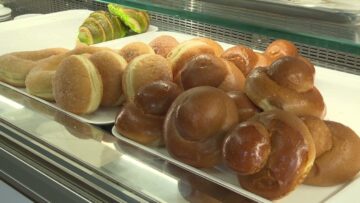 Privato: [ID: lmEg8n-zRd4] Youtube Automatic