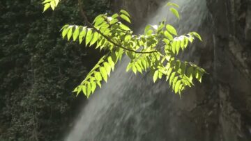 Privato: [ID: THrEqar4Uv4] Youtube Automatic