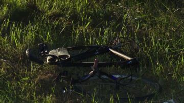 Privato: [ID: VMnTJVWdfkQ] Youtube Automatic