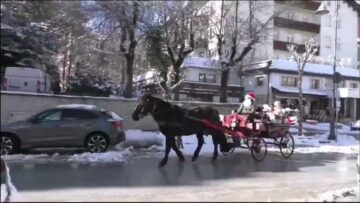 Privato: [ID: gaOwHJA2-3E] Youtube Automatic