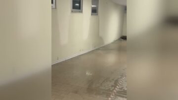 Privato: [ID: 7nwJE5lKUi4] Youtube Automatic