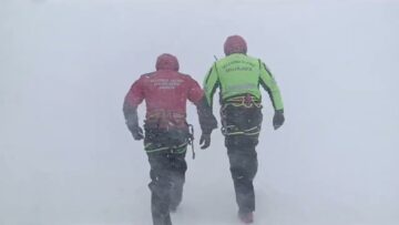 Privato: [ID: cAzCWsZ8C44] Youtube Automatic