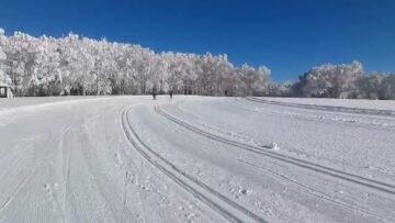 Privato: [ID: S12_eFmgsYI] Youtube Automatic