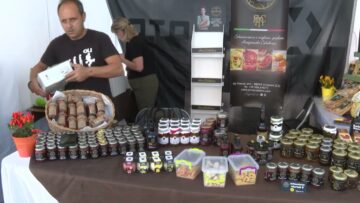 Privato: [ID: Gtb-mAXVkl8] Youtube Automatic