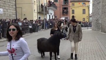 Privato: [ID: jiEwuUAmPjA] Youtube Automatic