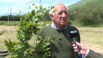 Privato: [ID: wTGHoSsWxdY] Youtube Automatic