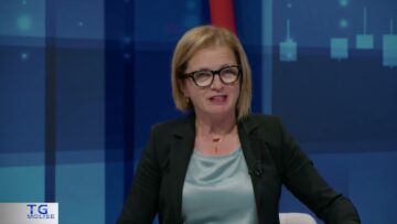 Privato: [ID: zAvHvqvZARg] Youtube Automatic