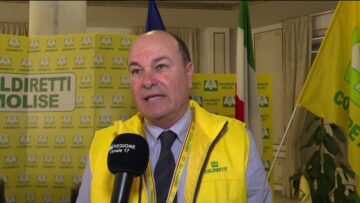 Privato: [ID: _Ah3l1PuAPs] Youtube Automatic