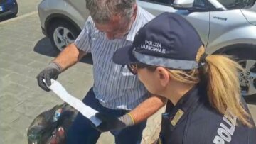 Privato: [ID: cCJ9XQe4sw4] Youtube Automatic