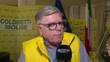 Privato: [ID: ennm7qzgSqE] Youtube Automatic