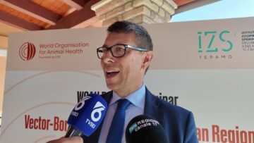 Privato: [ID: ZVgh3K5lXbo] Youtube Automatic