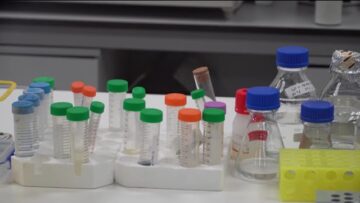 Privato: [ID: V0OMVfHJo4o] Youtube Automatic