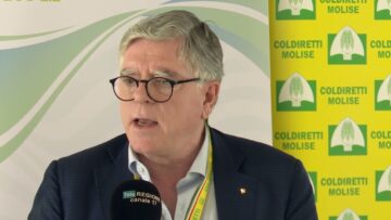 Privato: [ID: ZHc4UtpmO98] Youtube Automatic