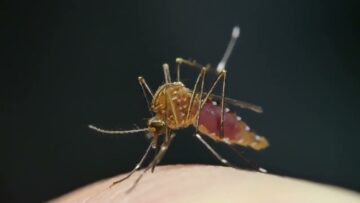 Privato: [ID: 1NpbcSnwOgA] Youtube Automatic