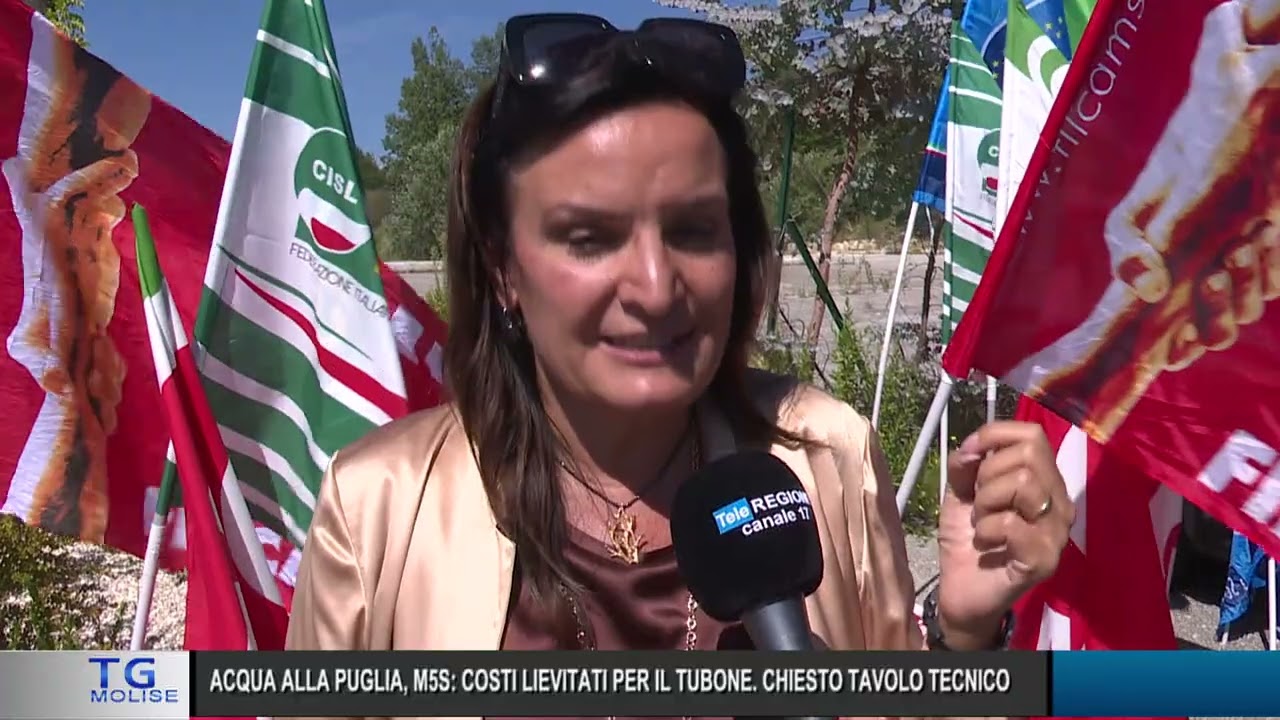 Telegiornale ore 19.30 – 10/09/2025