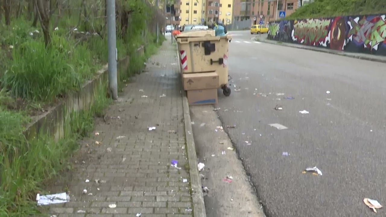 Branco di cinghiali in via Quircio a Campobasso, residenti esasperati – 19/09/2025