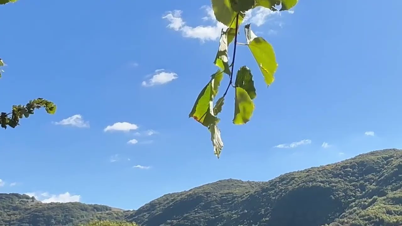 Turismo in Alto Molise, boom nel 2025. La fonderia Marinelli tra le mete più visitate – 19/10/2025