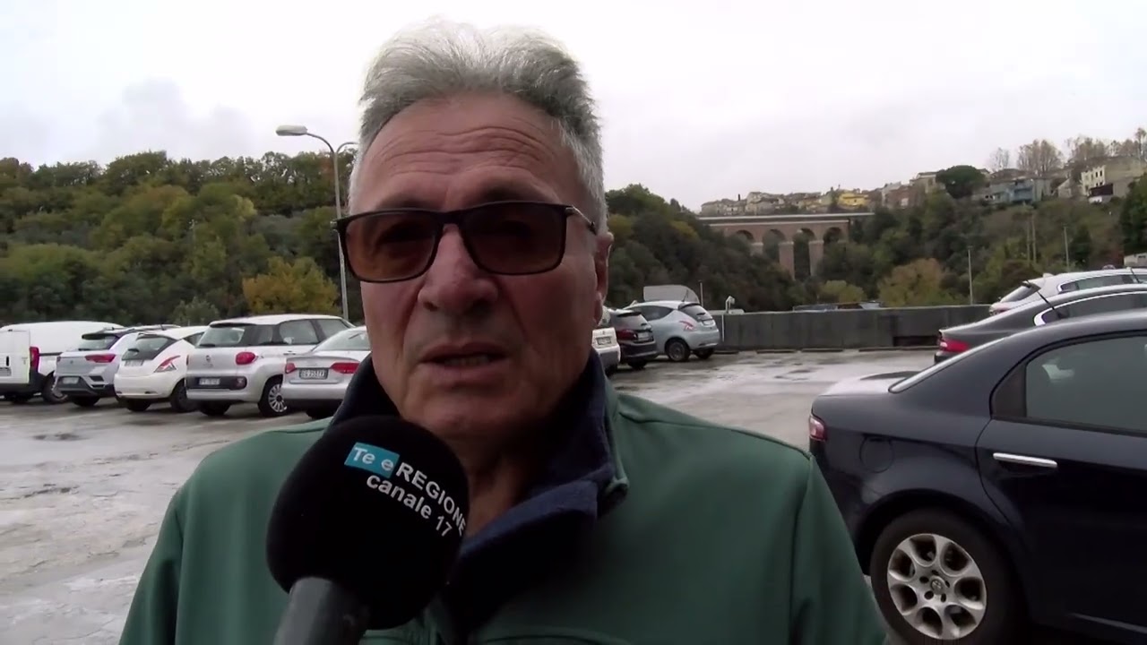 Emergenza cinghiali a Campobasso. L’esperto: femmine adulte in città per proteggersi – 21/11/2025