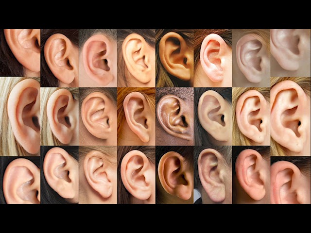 ALLA SALUTE, IL PODCAST DI TELEREGIONE – ACUFENE, IL SUONO FANTASMA | 03/11/2025