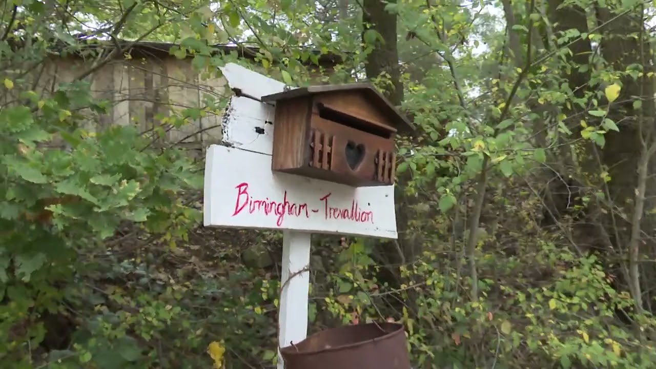 Privato: [ID: 1oPaFYUcqIg] Youtube Automatic