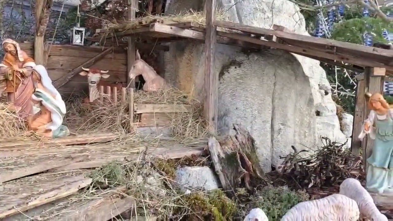 Capracotta accende il Natale col grande albero e il presepe: rito collettivo da 12 anni – 09/12/2025