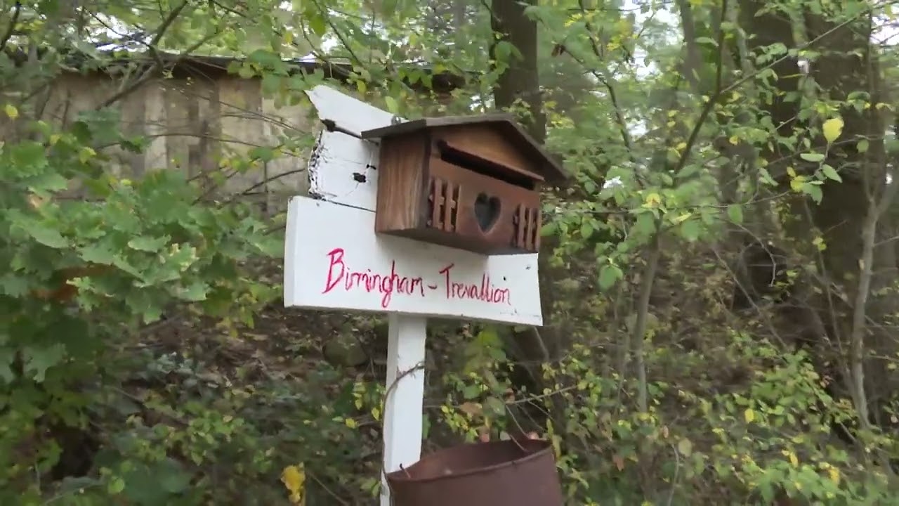 Privato: [ID: k9RR1Fwu9UY] Youtube Automatic