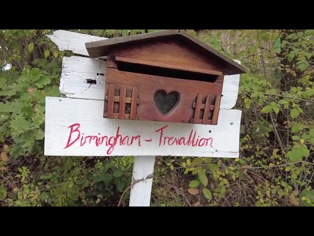 Privato: [ID: tx-iX-HHBSc] Youtube Automatic