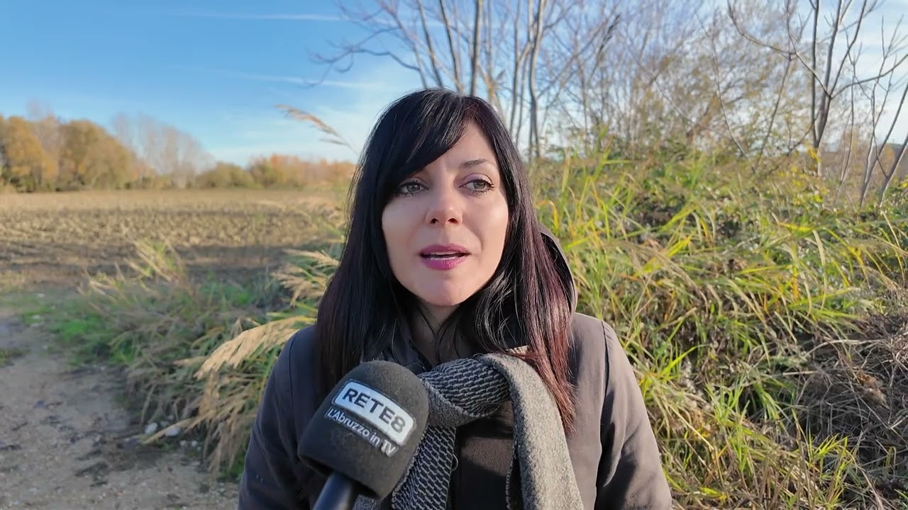 Privato: [ID: WvaIlvYUEl0] Youtube Automatic