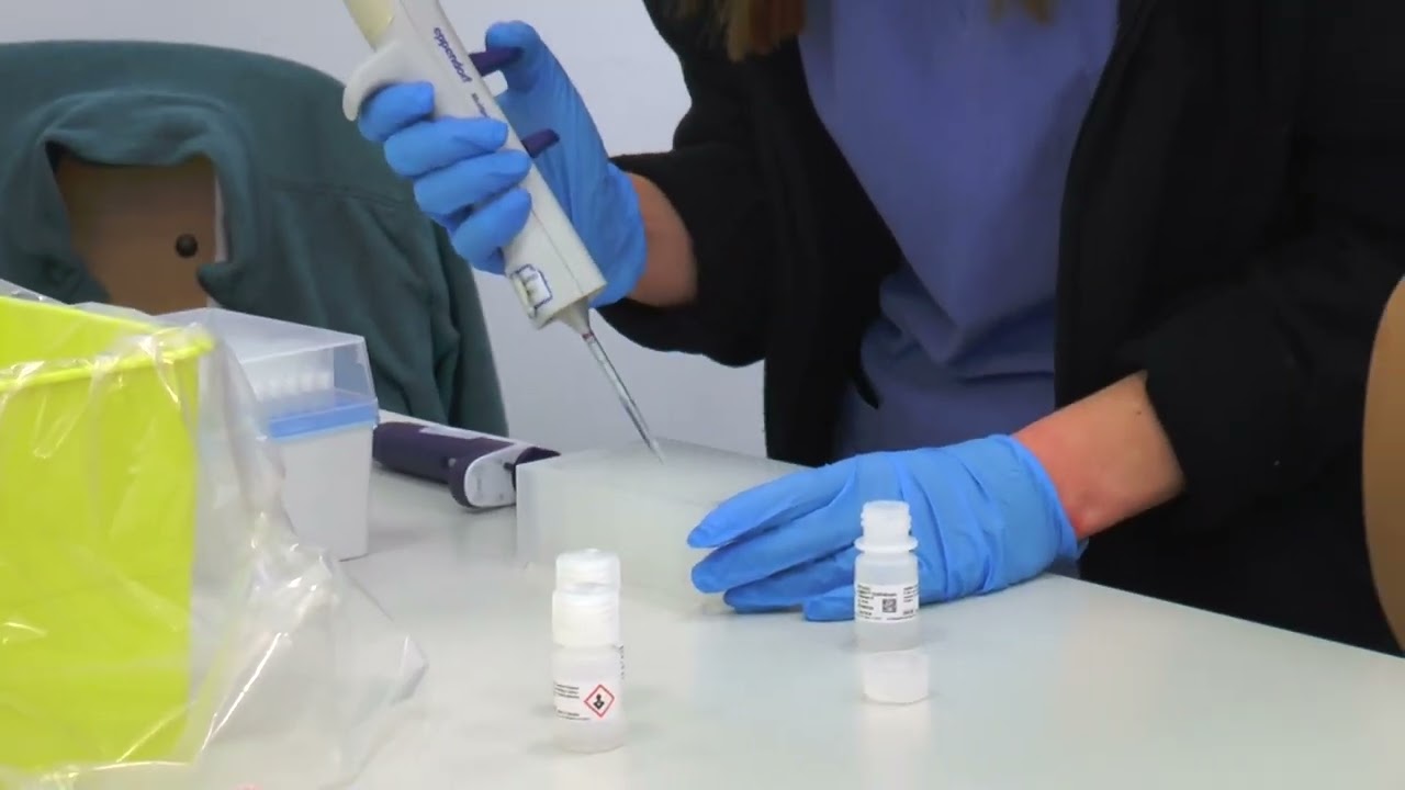 Privato: [ID: bZShRT5xU-c] Youtube Automatic