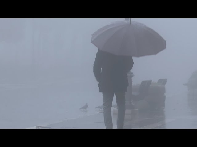 Nebbia, pioggia e Campobasso quasi deserta nel giorno dell’Epifania – 06/01/2026