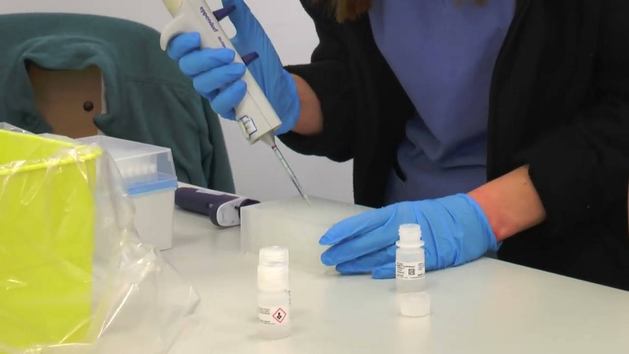 Privato: [ID: 8GbOCnLpULQ] Youtube Automatic