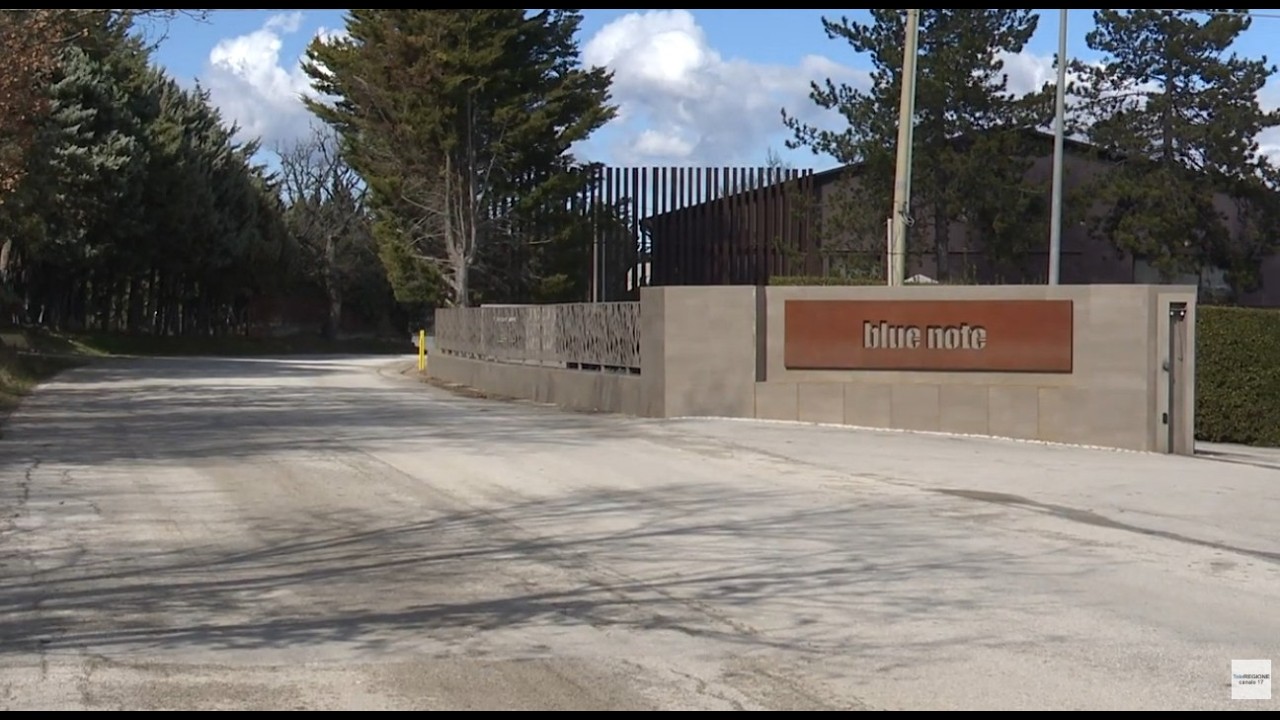 Privato: [ID: g1ubIk5sdu4] Youtube Automatic