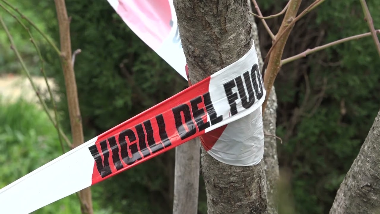 Privato: [ID: pjYBr0GNZiw] Youtube Automatic