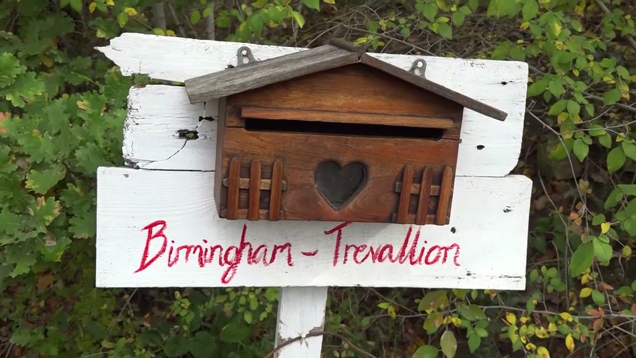 Privato: [ID: 5H9g31npVkY] Youtube Automatic