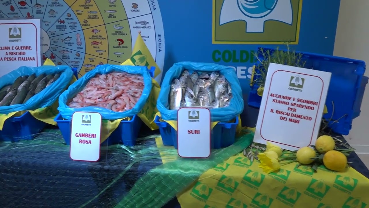 Privato: [ID: m3EtsyQVyHM] Youtube Automatic