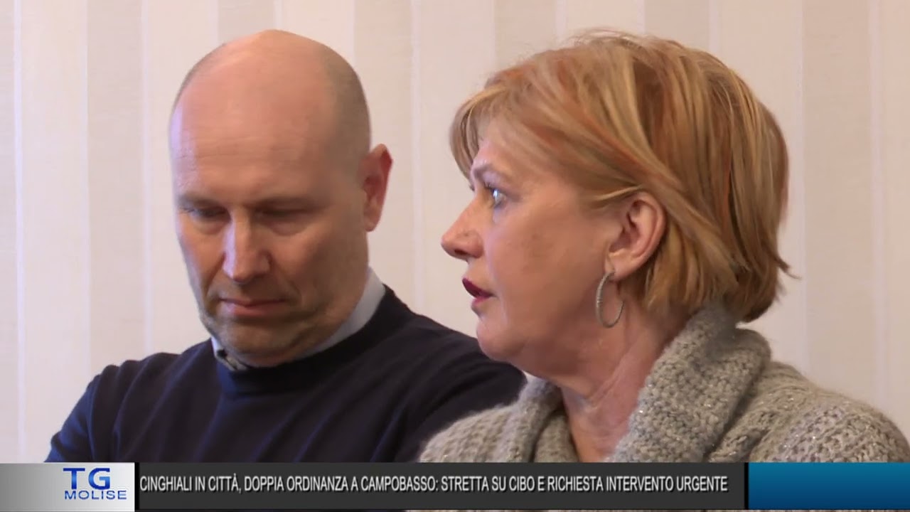 Privato: [ID: MJEltgy2cVE] Youtube Automatic