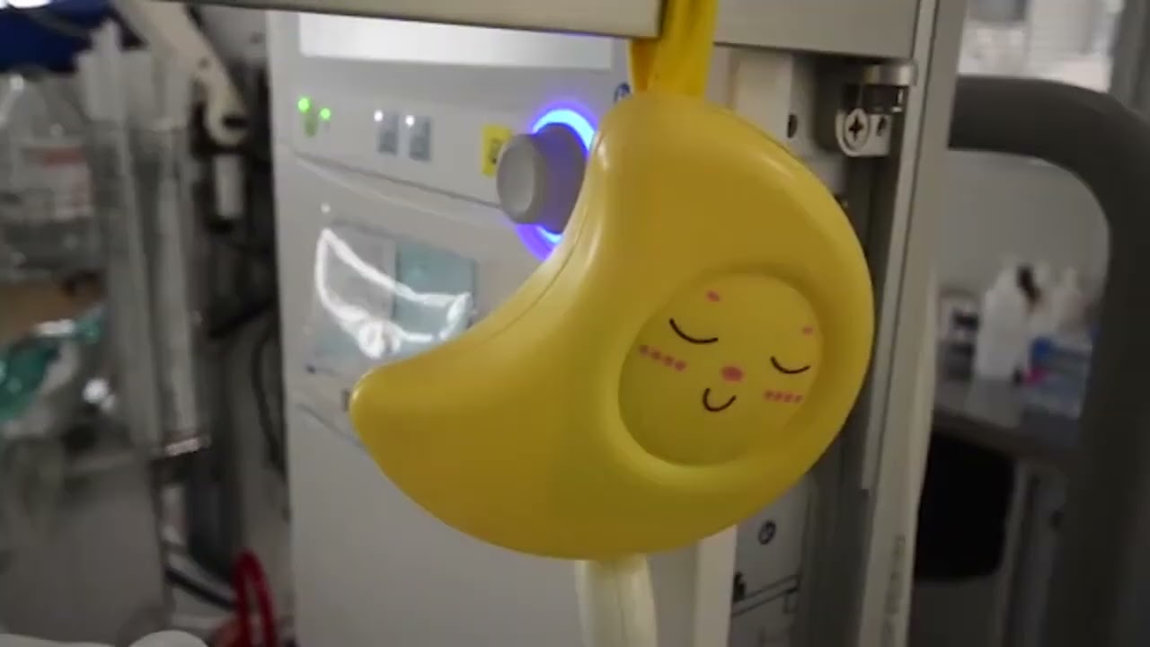 Privato: [ID: O8AdgM2Nl5Y] Youtube Automatic