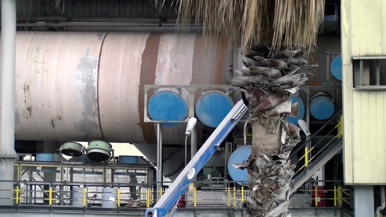 Privato: [ID: se2lO7xmKgE] Youtube Automatic