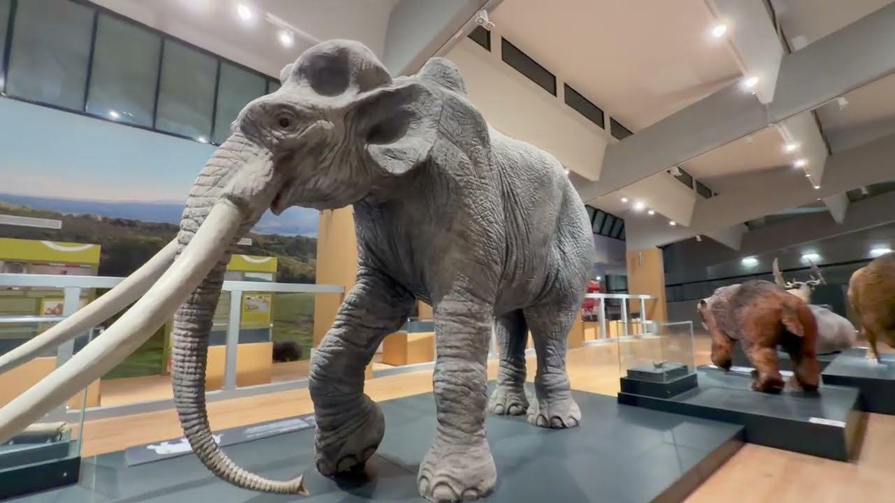 Privato: [ID: swH67cBoLxg] Youtube Automatic