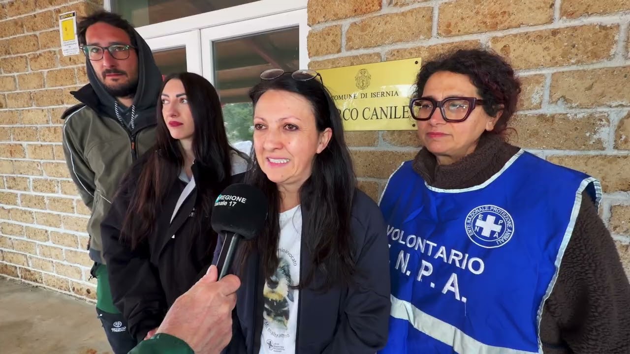 Privato: [ID: UOeVV9eZnv0] Youtube Automatic