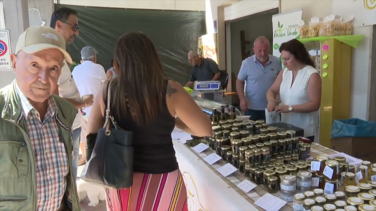 Privato: [ID: Vra22utRzNU] Youtube Automatic