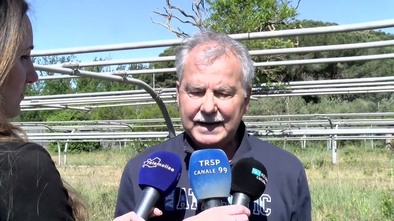 Privato: [ID: AeYzrfST_NM] Youtube Automatic