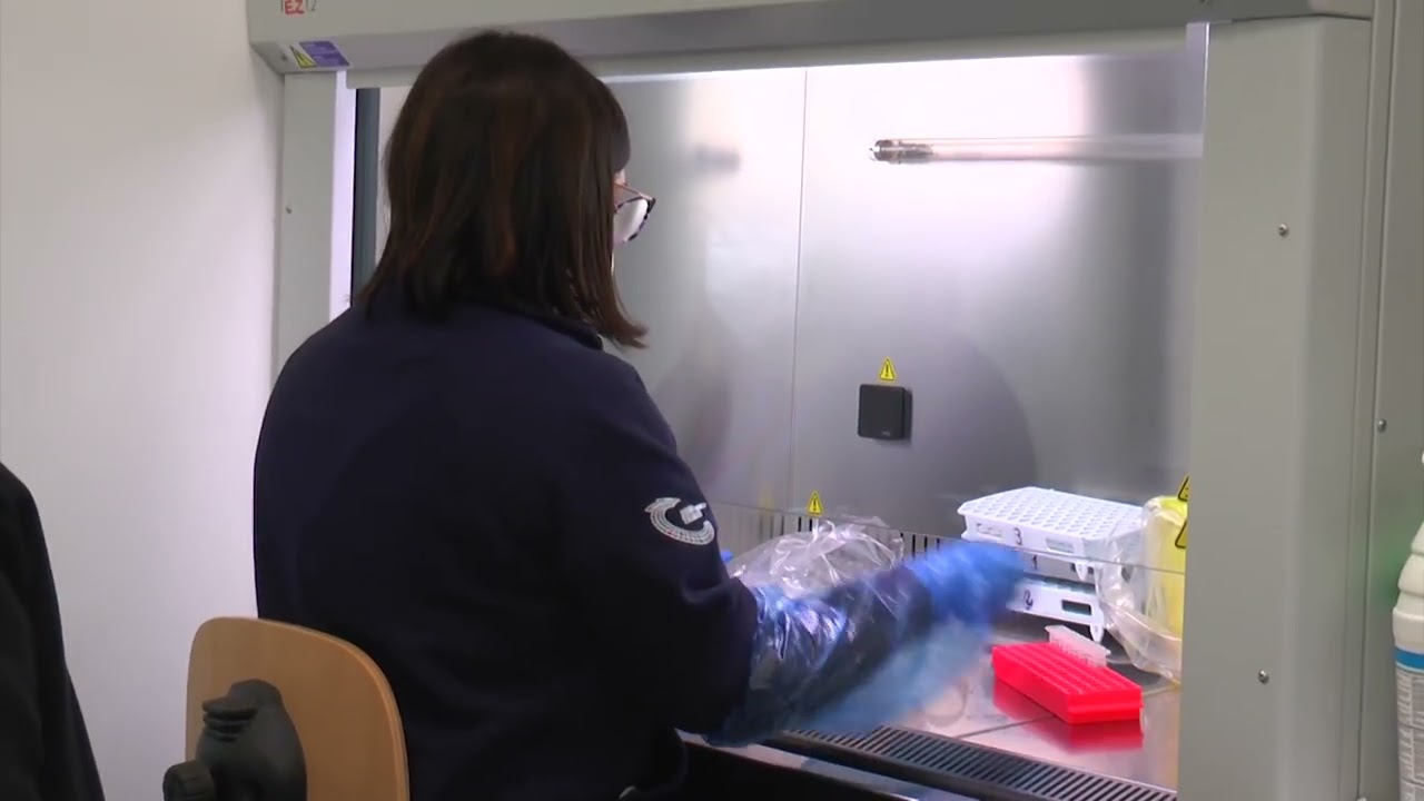 Privato: [ID: -G58BsWb12w] Youtube Automatic