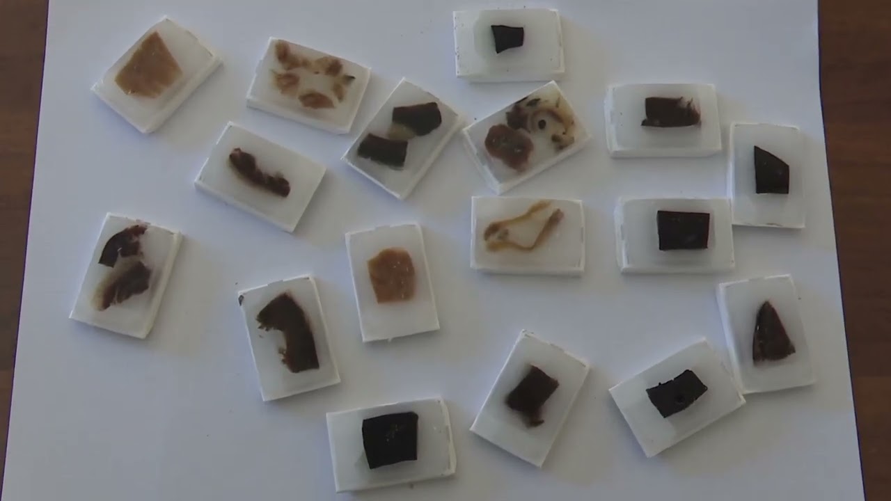 Privato: [ID: PPWtIEgtxVQ] Youtube Automatic