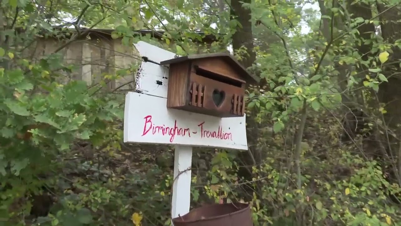 Privato: [ID: pwJSnreVGqA] Youtube Automatic