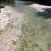 Privato: [ID: t_I1WZYq8zQ] Youtube Automatic
