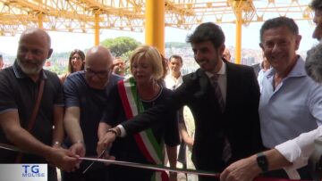 Privato: [ID: KjAKw5xl-Xs] Youtube Automatic