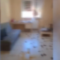 Venafro, 3 cani lasciati soli per settimane in casa: scatta l’intervento delle autorità – 20/08/2026