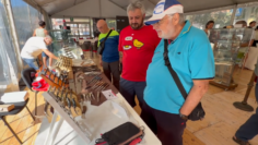 mostra coltelli frosolone